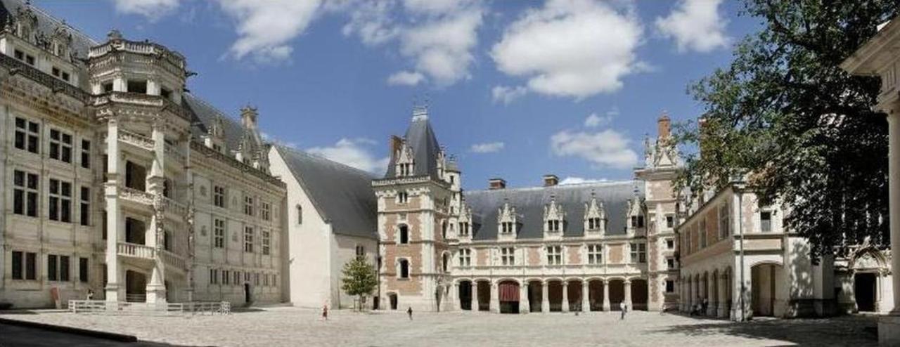 Superbe Appartement - L'Escapade Onzain Exterior foto